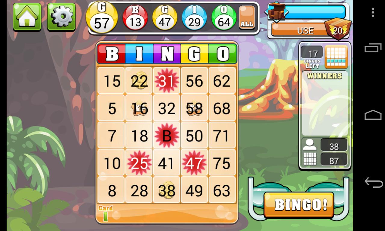 King bingo 465873