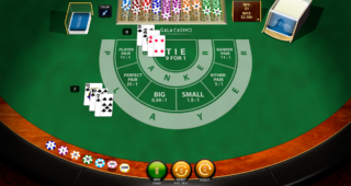Srij casino 333564